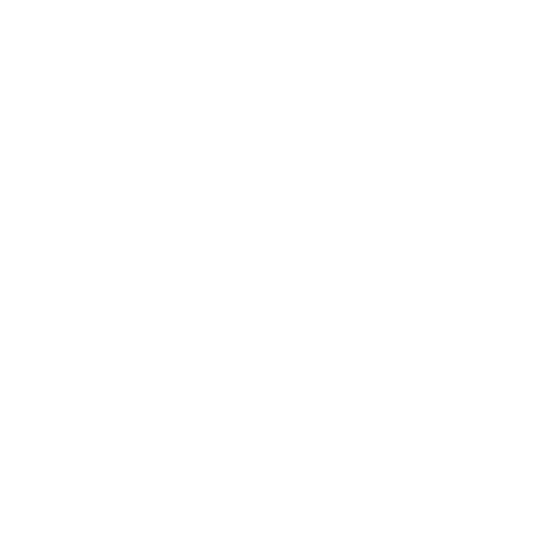 Shield Space Logo